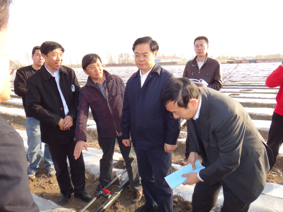 尊龙抖圈 - 为du而生