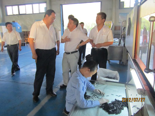 尊龙抖圈 - 为du而生