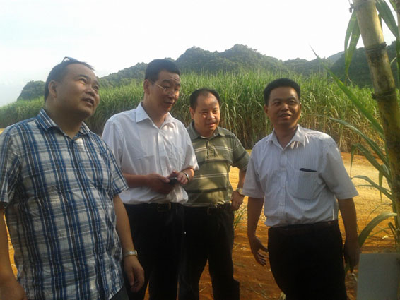 尊龙抖圈 - 为du而生