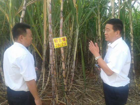 尊龙抖圈 - 为du而生