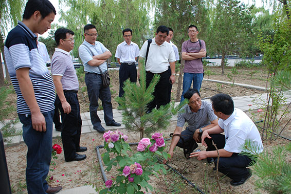 尊龙抖圈 - 为du而生