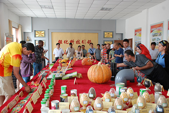 尊龙抖圈 - 为du而生