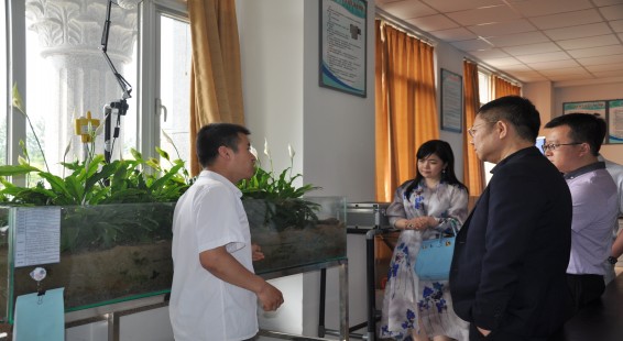 尊龙抖圈 - 为du而生