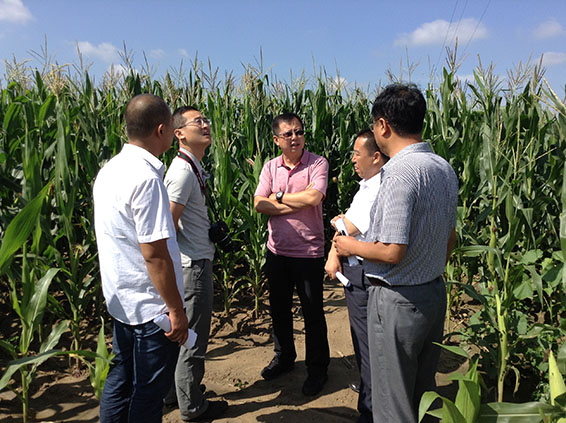 尊龙抖圈 - 为du而生