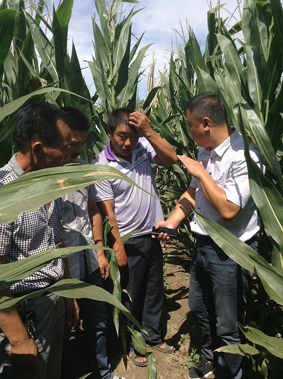 尊龙抖圈 - 为du而生