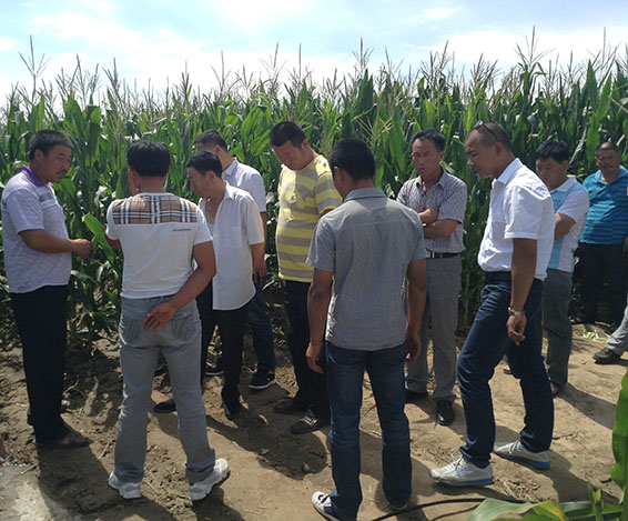 尊龙抖圈 - 为du而生