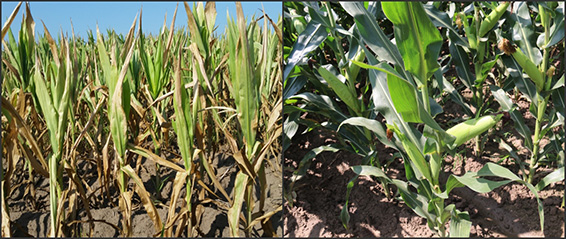 尊龙抖圈 - 为du而生