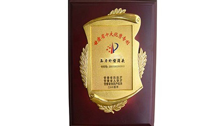 甘肃省十大优异专利—压力赔偿滴头