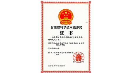 甘肃省科学手艺前进一等奖