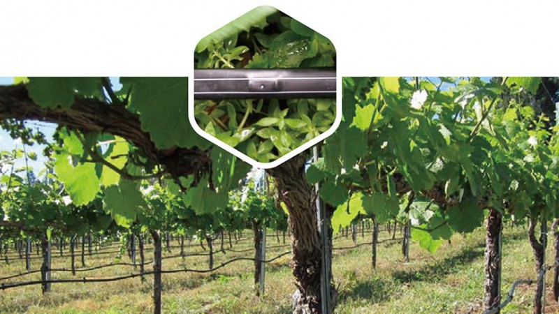  压力赔偿滴灌管