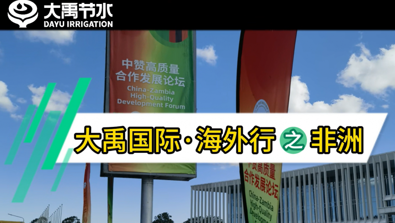 尊龙抖圈官网国际·外洋行之非洲