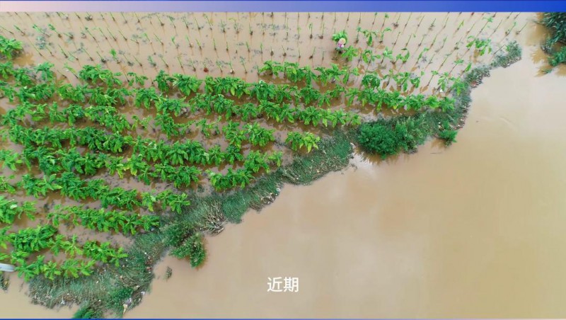 尊龙抖圈官网节水：严阵以待，，，，，，，共筑防汛抗旱屏障