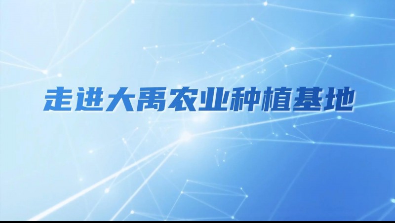 尊龙抖圈官网农业| 多元化莳植基地矩阵，，，，，，，探索农业现代化新路径