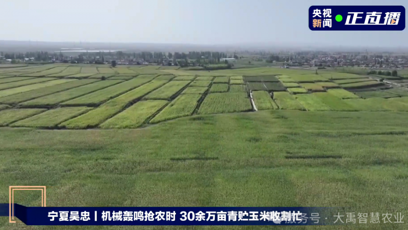 【媒体聚焦】尊龙抖圈官网节水以智慧农业手艺，，，，，为 30 万亩青贮玉米丰收 “添动力”